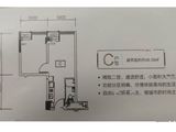 敏捷珑玥府_1室1厅1卫 建面48平米