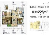 碧桂园城市之光_5室2厅2卫 建面226平米