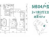 荔园悦享花醍_2室2厅2卫 建面107平米