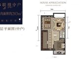 龙湖九里峰景_6室7厅6卫 建面0平米