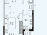 恒大国际温泉小镇_1室1厅1卫 建面56平米