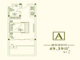 路劲领山_1室1厅1卫 建面49平米